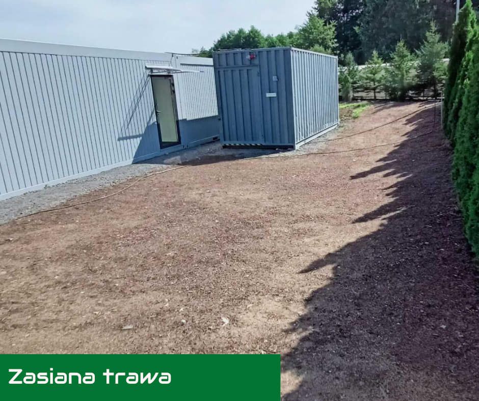 Zasiana trawa po użyciu Gleboziemu